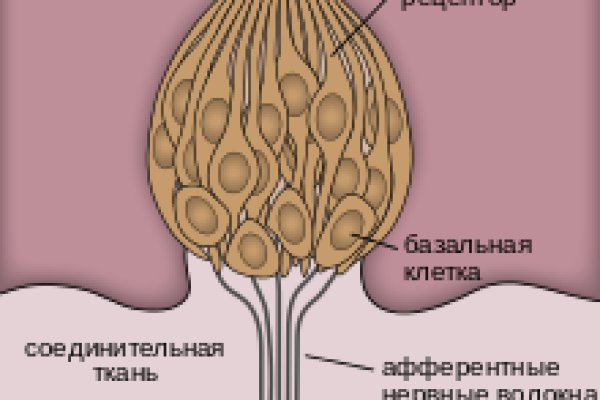 Ссылки сайтов даркнета