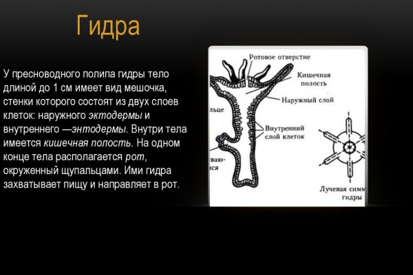 Что такое кракен тор